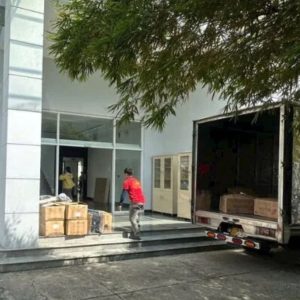 BỐC XẾP CHUYÊN NGHIỆP